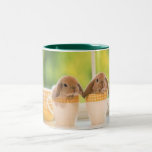 Happy Easter Mug