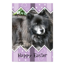 Happy Easter Photo-Paw Prints posters