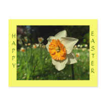 Happy Easter postcards by Rainmountain Happy Easter postcards