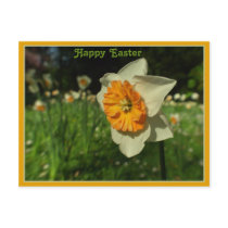 Happy Easter postcards by Rainmountain Happy Easter postcards
