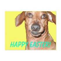 Happy Easter! postcards