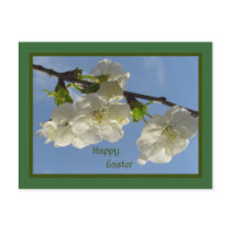 Happy Easter postcards by Rainmountain Happy Easter postcards
