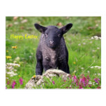Happy Easter Postcard