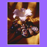 Happy Easter PostCard~Easter Eggs/Lily postcards