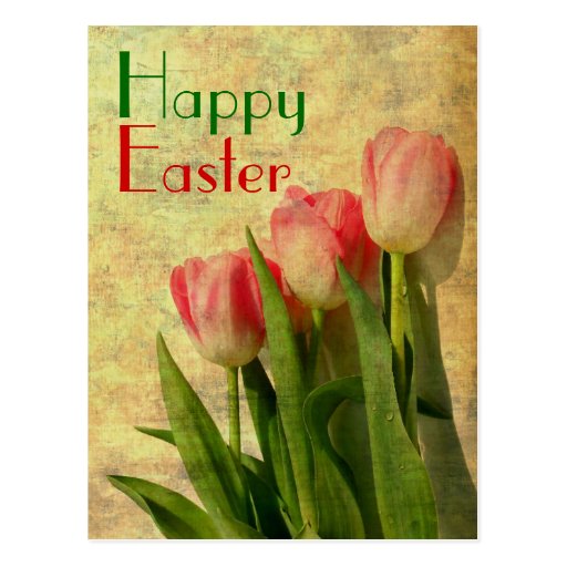 Happy Easter Spring Tulips Postcards Zazzle