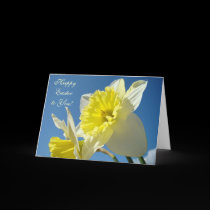 HAPPY EASTER! to You Cards Yellow Daffodils