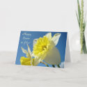 HAPPY EASTER! to You Cards Yellow Daffodils card