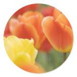 Happy Easter Tulips stickers
