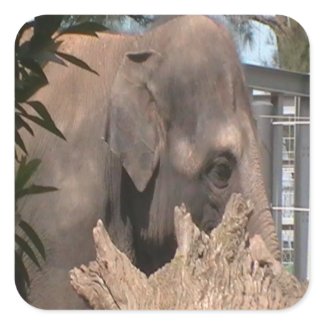 Happy Elephant sticker