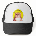 Happy Face cat hats