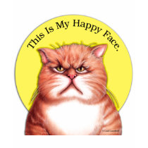 Happy Face cat t-shirts by gailgastfield Happy Face cat t-shirts