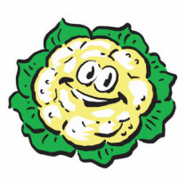 happy face cauliflower photo sculptures by doonidesigns happy face cauliflower photo sculptures