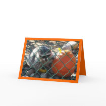 Happy Fall! cards