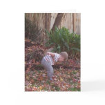 Happy Fall Cards