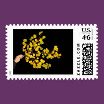 Happy Father's Day, blank postage