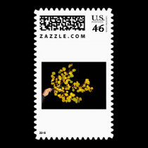 Happy Father's Day, blank postage