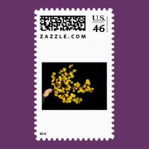 Happy Father's Day, blank postage