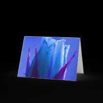 Happy Father's Day Blue Rose III cards by Yve_13 Happy Father's Day Blue Rose III cards