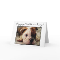 Happy Father's Day Bulldog puppy greeting card