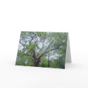 Happy Fathers Day cards by Ladonna34 Happy Fathers Day cards