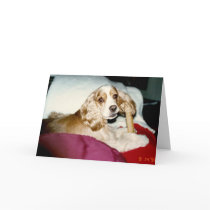 happy father's day cards by holycrocodile happy father's day cards