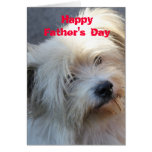 Happy Father's Day Card cards