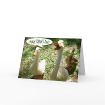 Happy Father's Day - Ducks cards