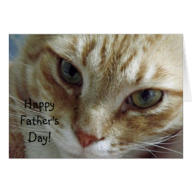 Happy Father's Day from Cat Greeting Card