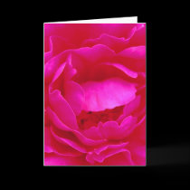 Happy Father's Day Pink Rose I cards by Yve_13 Happy Father's Day Pink Rose I cards