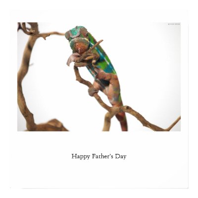 Happy Father's Day Posters by byrdhouse