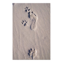 Happy Feet posters by daryarose Happy Feet posters