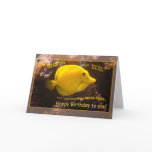 Happy Fish Blup-blup cards