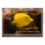 Happy Fish Blup-blup cards