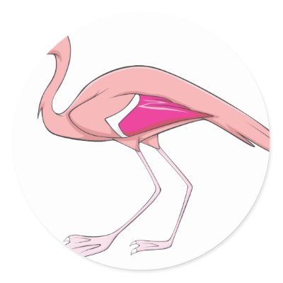 happy flamingo