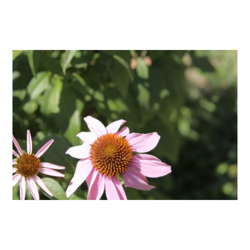 Happy Flowers print