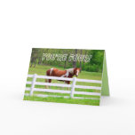 Happy Fourth Birthday Paint Horse Card