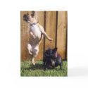 Happy French Bulldog cards by digitaled Happy French Bulldog cards