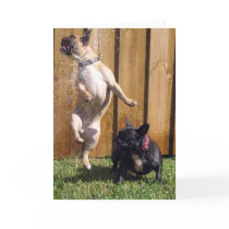 Happy French Bulldog cards by digitaled Happy French Bulldog cards
