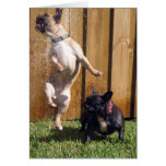 Happy French Bulldog Greeting Cards