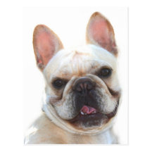 Happy French Bulldog postcard