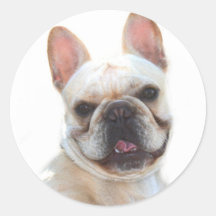 Happy French Bulldog stickers