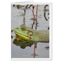Happy Frog Notecard