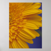 Happy Gerber Canvas Print