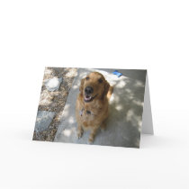 Happy Golden Retriever Greeting Card
