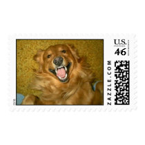 Happy Golden Retriever postage