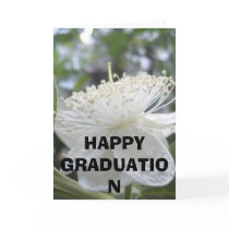 HAPPY GRADUATION cards