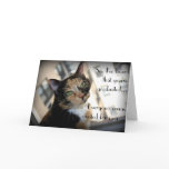 Happy Graduation from Aloof Cat Card