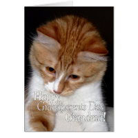Happy Grandparents Day Grandma Cute Cat Greeting Card