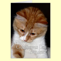 Happy Grandparents Day Grandma Cute Cat cards