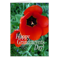 Happy Grandparents Day Grandma - Poppy Flowers Greeting Card